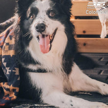 Cargar imagen en el visor de la galería, jpg_1500x1500_56628396