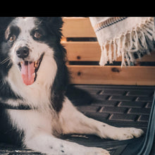 Cargar imagen en el visor de la galería, Land Rover Range Rover Velar - 2018-2019 - Negro - 1ra+2da Fila