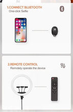 Cargar imagen en el visor de la galería, 16 Aro de Luz Profesional 14 pulg.jpg